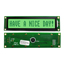 NHD-0116GZ-FSPG-FBW